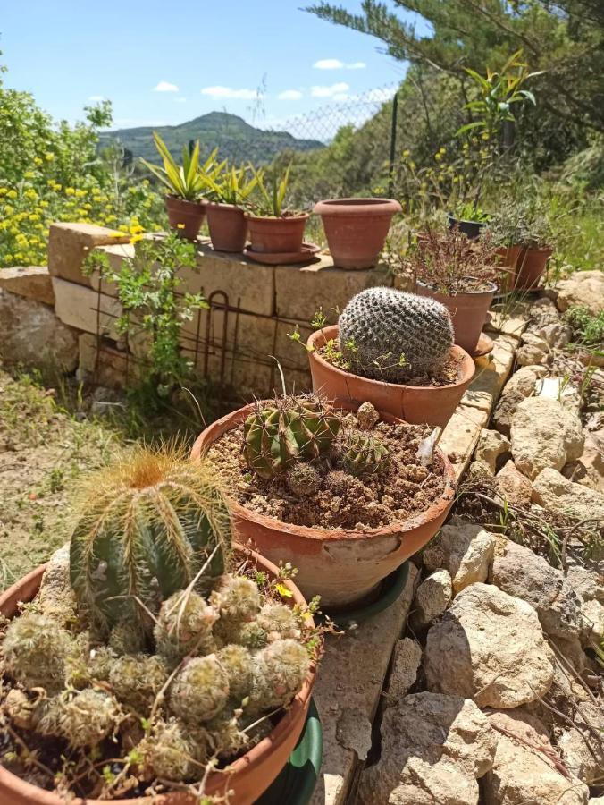 فندق La Casa Dei Sogni Agira المظهر الخارجي الصورة