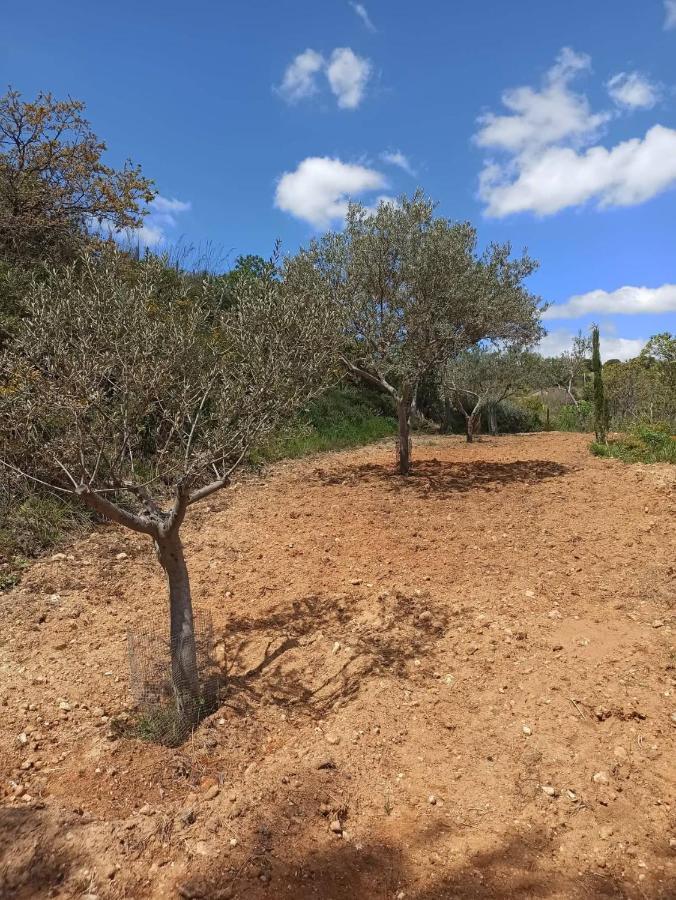 فندق La Casa Dei Sogni Agira المظهر الخارجي الصورة